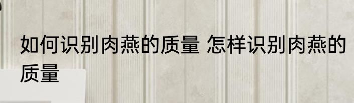 如何识别肉燕的质量 怎样识别肉燕的质量