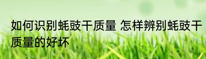 如何识别蚝豉干质量 怎样辨别蚝豉干质量的好坏