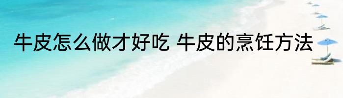 牛皮怎么做才好吃 牛皮的烹饪方法