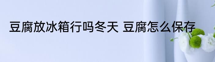豆腐放冰箱行吗冬天 豆腐怎么保存