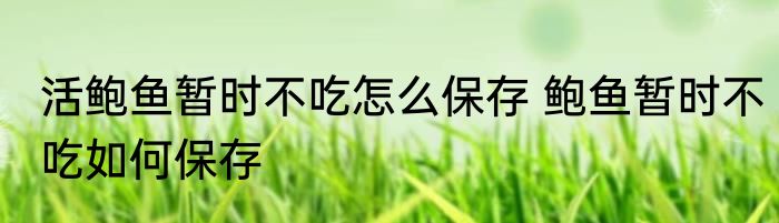 活鲍鱼暂时不吃怎么保存 鲍鱼暂时不吃如何保存