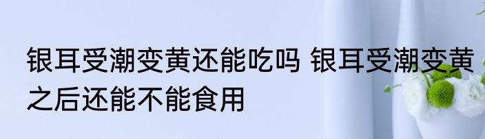 银耳受潮变黄还能吃吗 银耳受潮变黄之后还能不能食用