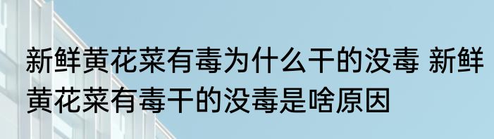 新鲜黄花菜有毒为什么干的没毒 新鲜黄花菜有毒干的没毒是啥原因
