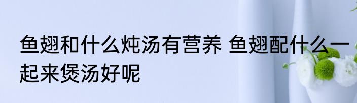 鱼翅和什么炖汤有营养 鱼翅配什么一起来煲汤好呢