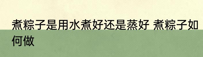 煮粽子是用水煮好还是蒸好 煮粽子如何做