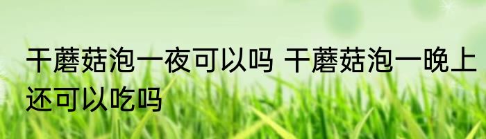 干蘑菇泡一夜可以吗 干蘑菇泡一晚上还可以吃吗