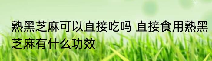 熟黑芝麻可以直接吃吗 直接食用熟黑芝麻有什么功效