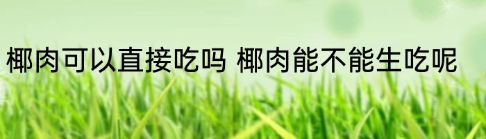 椰肉可以直接吃吗 椰肉能不能生吃呢