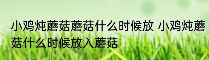 小鸡炖蘑菇蘑菇什么时候放 小鸡炖蘑菇什么时候放入蘑菇