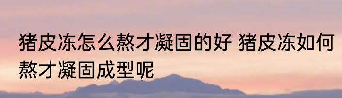 猪皮冻怎么熬才凝固的好 猪皮冻如何熬才凝固成型呢