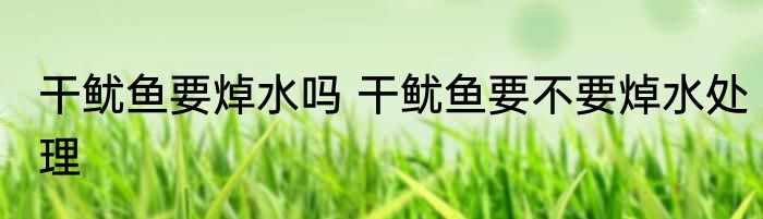 干鱿鱼要焯水吗 干鱿鱼要不要焯水处理