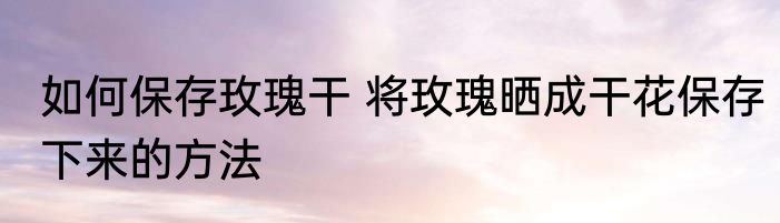 如何保存玫瑰干 将玫瑰晒成干花保存下来的方法