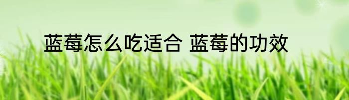 蓝莓怎么吃适合 蓝莓的功效