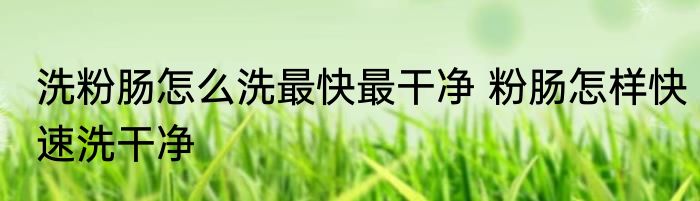 洗粉肠怎么洗最快最干净 粉肠怎样快速洗干净
