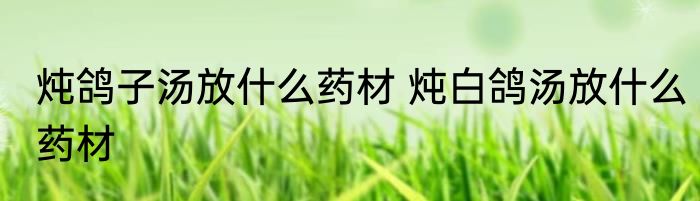 炖鸽子汤放什么药材 炖白鸽汤放什么药材