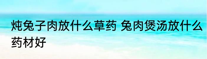 炖兔子肉放什么草药 兔肉煲汤放什么药材好