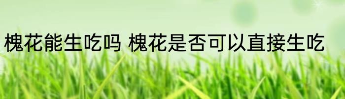 槐花能生吃吗 槐花是否可以直接生吃