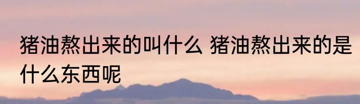 猪油熬出来的叫什么 猪油熬出来的是什么东西呢