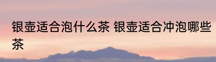 银壶适合泡什么茶 银壶适合冲泡哪些茶