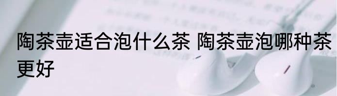 陶茶壶适合泡什么茶 陶茶壶泡哪种茶更好