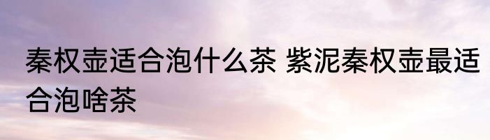秦权壶适合泡什么茶 紫泥秦权壶最适合泡啥茶