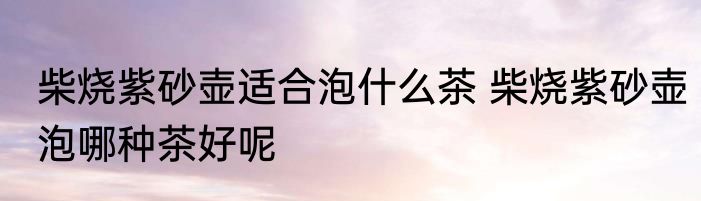 柴烧紫砂壶适合泡什么茶 柴烧紫砂壶泡哪种茶好呢