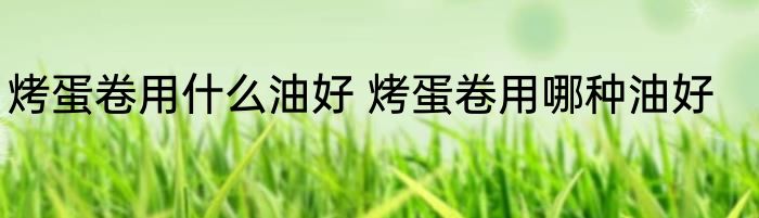 烤蛋卷用什么油好 烤蛋卷用哪种油好