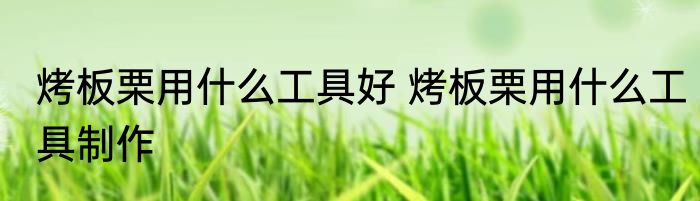 烤板栗用什么工具好 烤板栗用什么工具制作