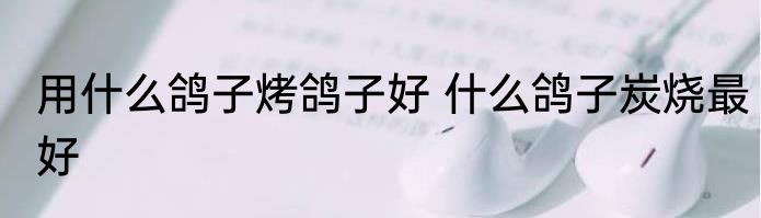 用什么鸽子烤鸽子好 什么鸽子炭烧最好