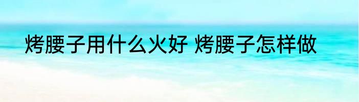 烤腰子用什么火好 烤腰子怎样做