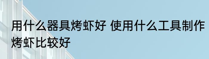用什么器具烤虾好 使用什么工具制作烤虾比较好