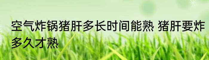 空气炸锅猪肝多长时间能熟 猪肝要炸多久才熟