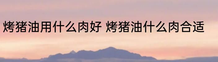 烤猪油用什么肉好 烤猪油什么肉合适