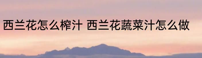 西兰花怎么榨汁 西兰花蔬菜汁怎么做