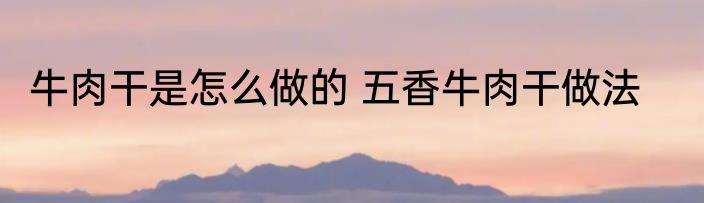 牛肉干是怎么做的 五香牛肉干做法