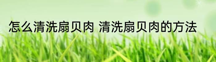怎么清洗扇贝肉 清洗扇贝肉的方法