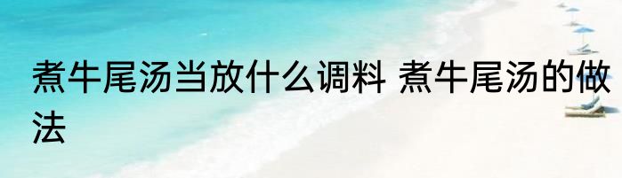 煮牛尾汤当放什么调料 煮牛尾汤的做法