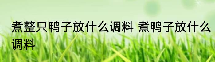 煮整只鸭子放什么调料 煮鸭子放什么调料