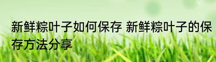 新鲜粽叶子如何保存 新鲜粽叶子的保存方法分享