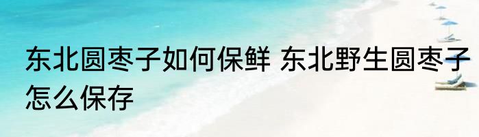东北圆枣子如何保鲜 东北野生圆枣子怎么保存
