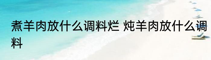煮羊肉放什么调料烂 炖羊肉放什么调料