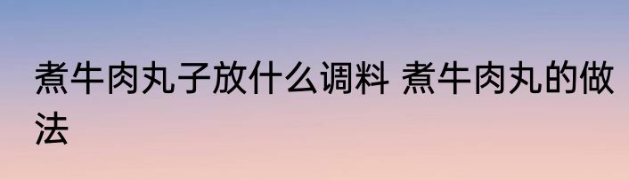 煮牛肉丸子放什么调料 煮牛肉丸的做法
