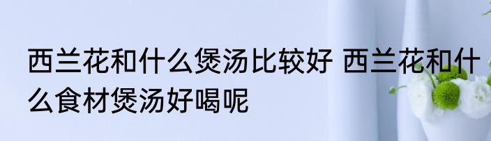 西兰花和什么煲汤比较好 西兰花和什么食材煲汤好喝呢
