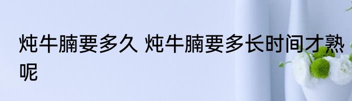 炖牛腩要多久 炖牛腩要多长时间才熟呢