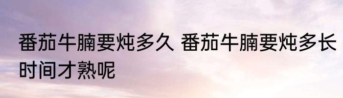 番茄牛腩要炖多久 番茄牛腩要炖多长时间才熟呢