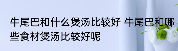 牛尾巴和什么煲汤比较好 牛尾巴和哪些食材煲汤比较好呢