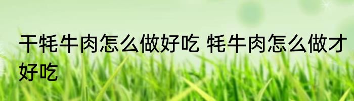 干牦牛肉怎么做好吃 牦牛肉怎么做才好吃