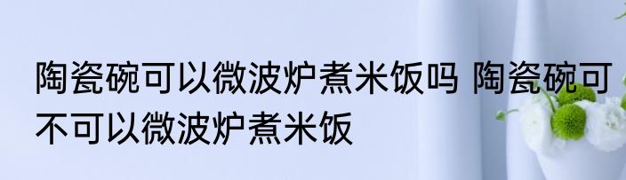 陶瓷碗可以微波炉煮米饭吗 陶瓷碗可不可以微波炉煮米饭