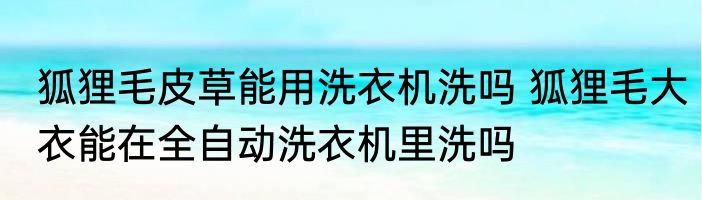 狐狸毛皮草能用洗衣机洗吗 狐狸毛大衣能在全自动洗衣机里洗吗