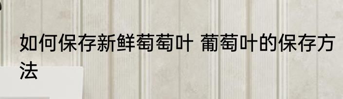 如何保存新鲜萄萄叶 葡萄叶的保存方法
